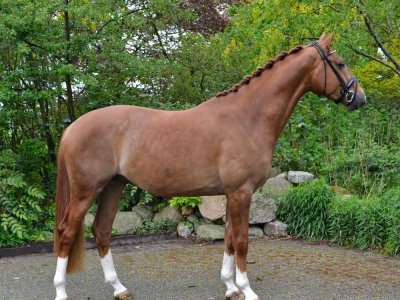 Eén, Drie, Drie en Vier