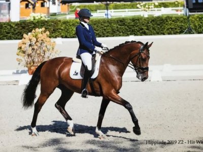 His Wish met een mooie score het jaar uit