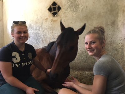 Laatste stagedag van Mirthe, Saskia en Yvonne