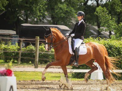 Merinque zoekt het hoger op!