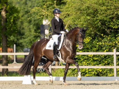 Mi Merle WK enJyo Jay WK beide geselecteerd voor Regio Kampioenschappen Groningen