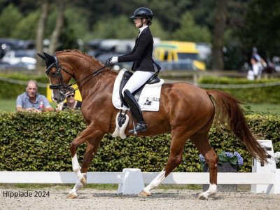 Mooie score op de Hippiade 2024 voor Merinque en Margot in de Z2