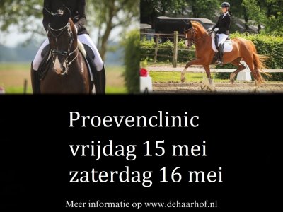 Proevenclinic Dressuurstal De Haarhof