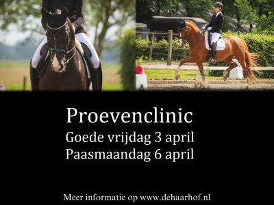 Proevenclinics op 3 en 6 april bji Dressuurstal De Haarhof