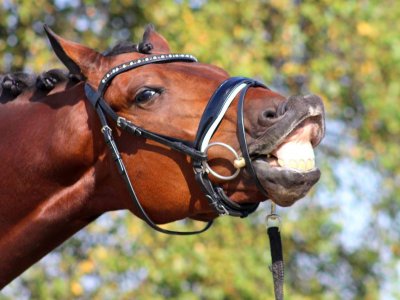 Top Weekend in Oosterwolde