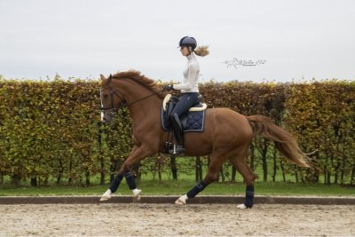 Merengue V E R K O C H T