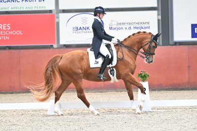 Merengue V E R K O C H T