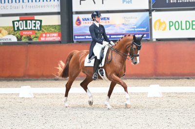 Merengue V E R K O C H T