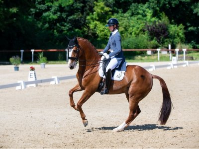 CDI Brno was zon overgoten en mooie successen