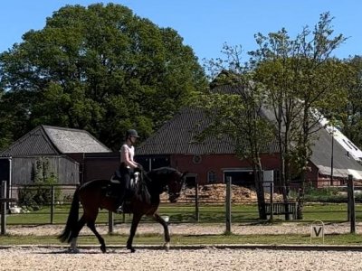 Felix begonnen aan zijn reis naar Beijing