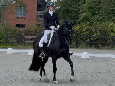 Joost 1ste prijs in debuut start op Intermediaire 1 niveau in Sonnega